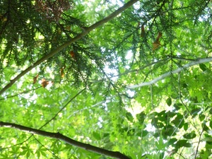 moritera13.jpg