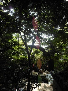 moritera7.jpg